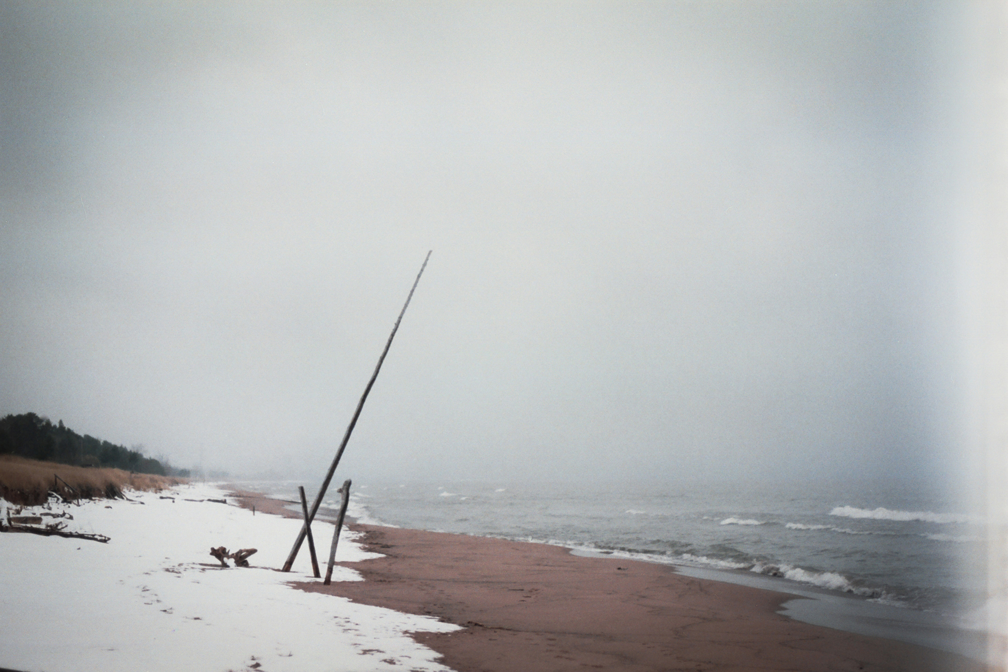 EmilySpaniol_Wind-Tilt_35mm-Film_6.5×9.8