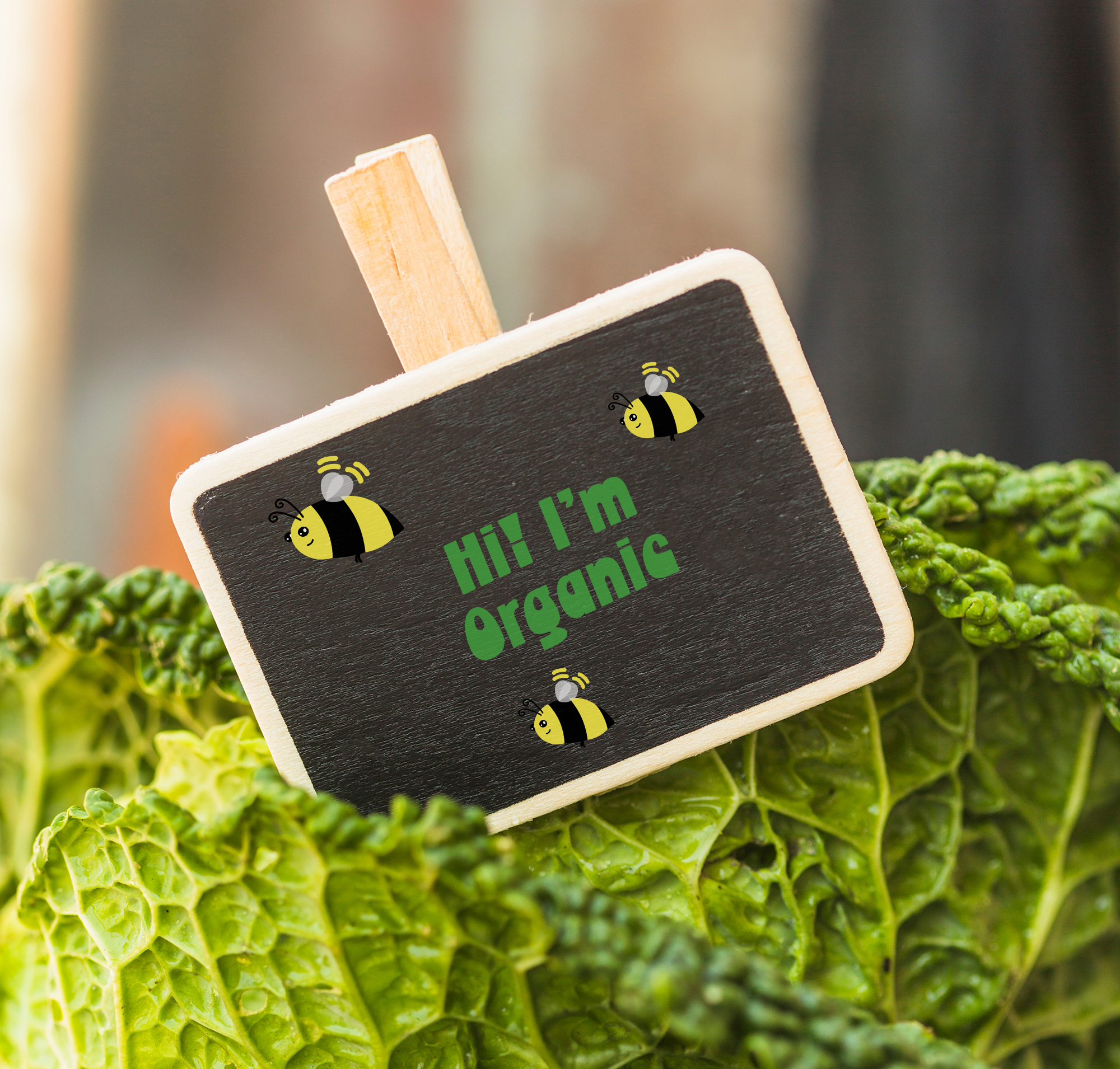 close-up-green-chinese-cabbage-leaves-black-slate-1