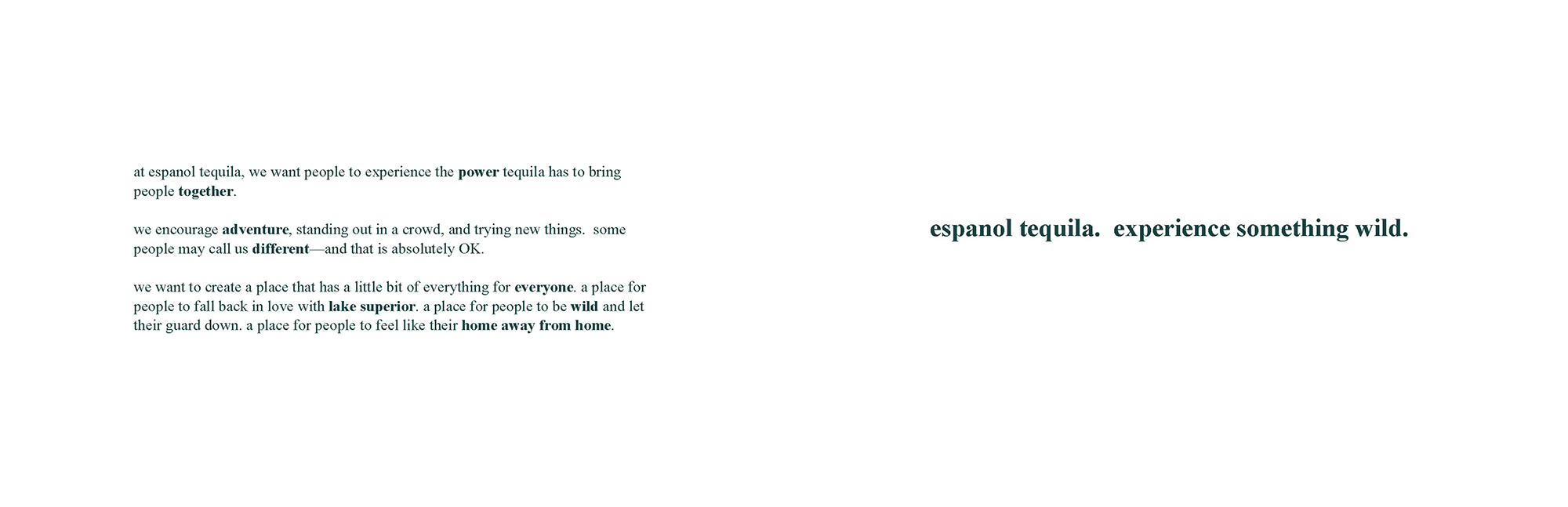 Emily-Spaniol-Brand-Standards-Manual-copy-3_Page_04-11.17.22-AM